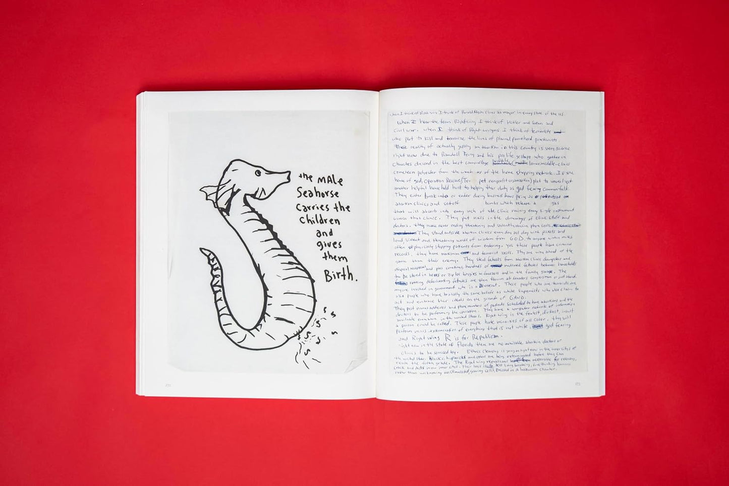 Kurt Cobain : The journals